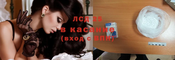 крисы Магас
