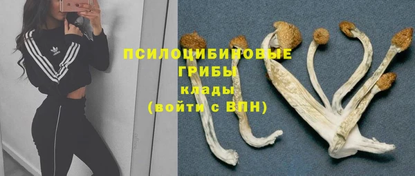 МДПВ Липки
