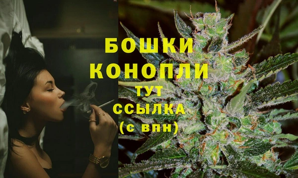 МДПВ Липки