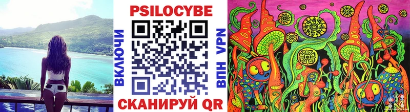 Псилоцибиновые грибы мицелий  Мышкин 